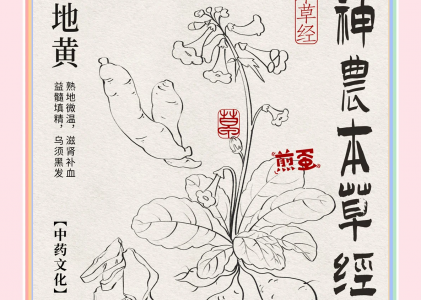 联系我们